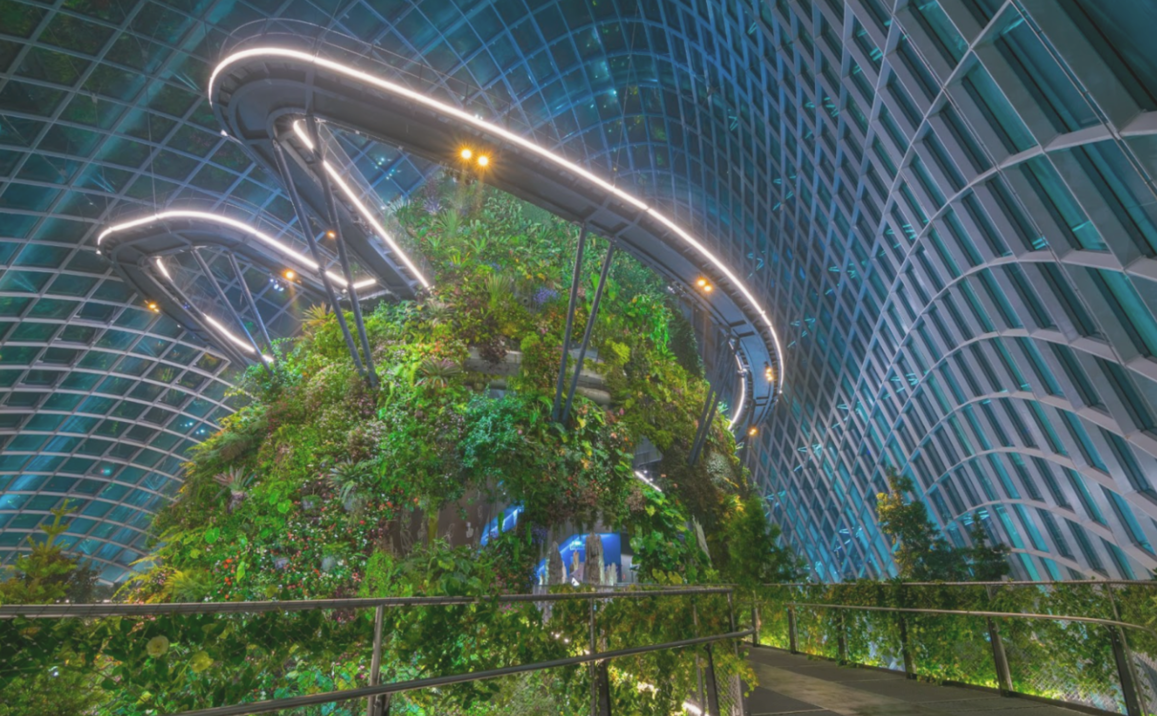 Singapore's Climate-Controlled Nature