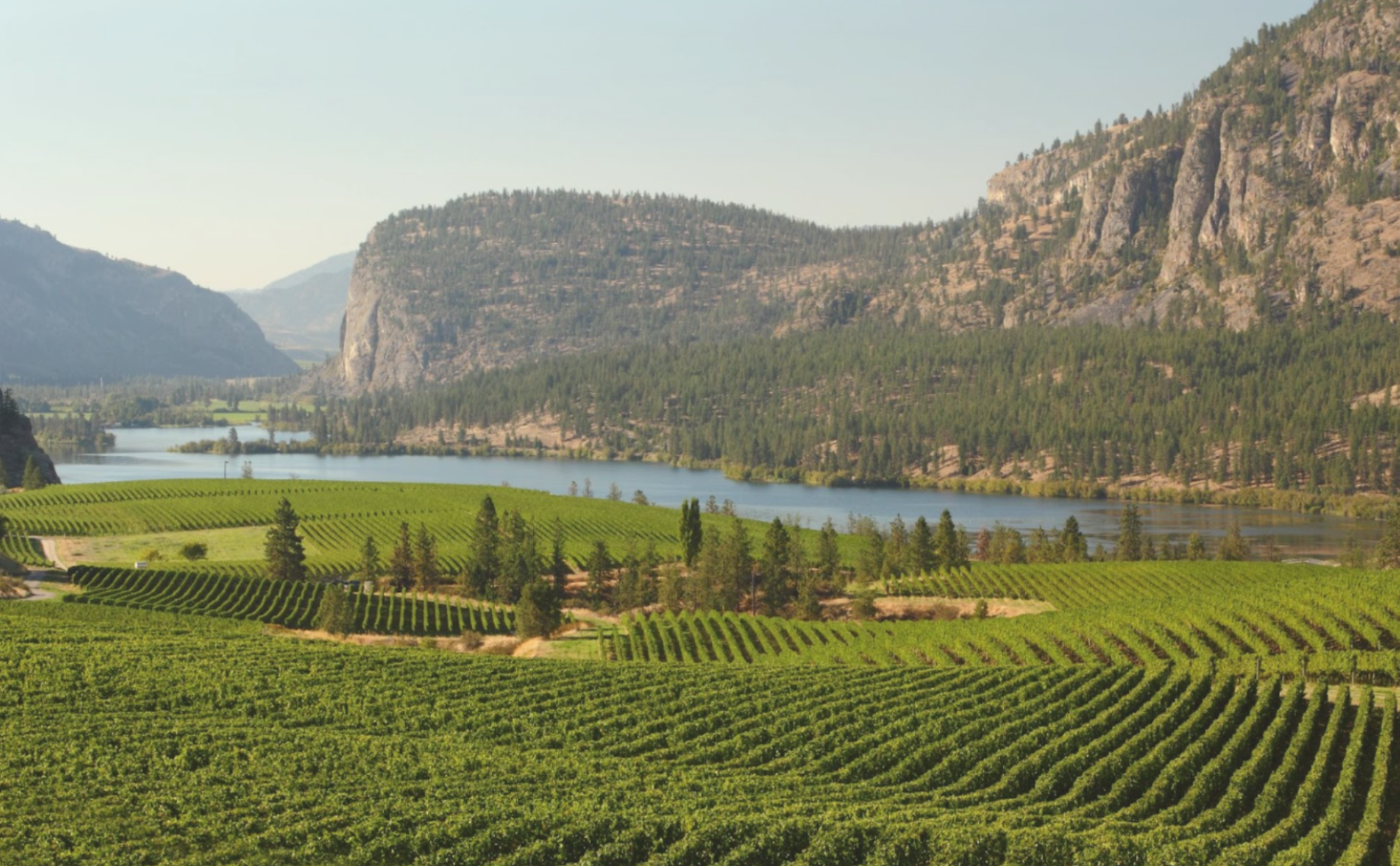 Visitor Safety in British Columbia